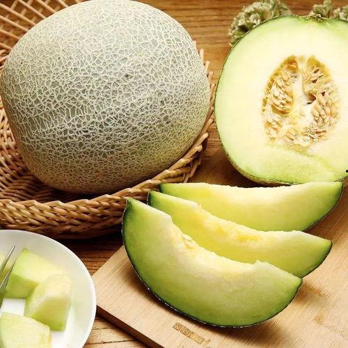 儿童可以吃广西州蜜瓜,广西州蜜瓜，儿童健康美味之选
