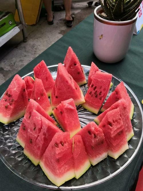 宁夏银川吃瓜大王,瓜王争霸，瓜香四溢的甜蜜之旅